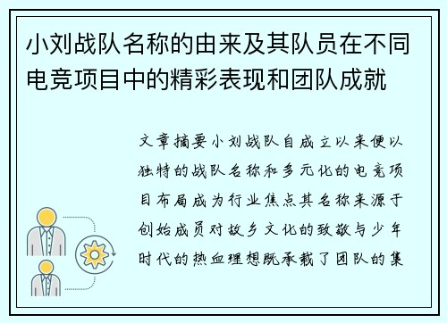 小刘战队名称的由来及其队员在不同电竞项目中的精彩表现和团队成就